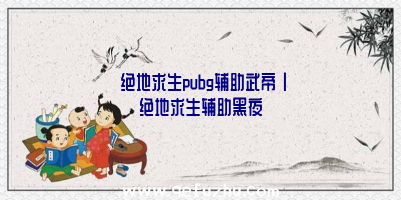 「绝地求生pubg辅助武帝」|绝地求生辅助黑夜